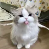meowmeowriviune