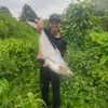 nguyenkyanh99