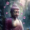 tinhtam_2005