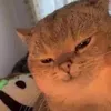 minhhoai_123