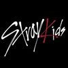 straykids_videos03