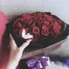 ngan2497071