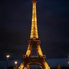 tomm77777