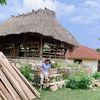 arek_jember22