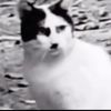 nuggy00