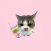 sulee2403