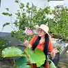 thanhbinh_31886