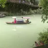 therestofthebeam
