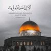 ahmedelbehery3