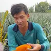nguyenminhsang1988