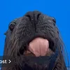rachellebc_