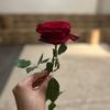 fareedaabdalla0