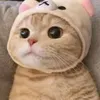 quynh_hoa5397