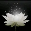 thuy.babie.68