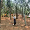 huahuongnhai