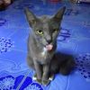 pi._.blue
