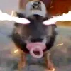 k0zz_12