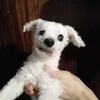 s.o.f.i.s.s