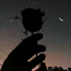 gacon_1503