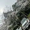 nonoano76