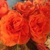 user_1110987654321_