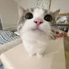 pra_1211