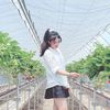....thuhuyen_