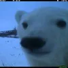 minayeenssayhi_