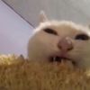 desireedestiny7