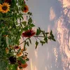kute_221