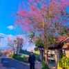 may_10.05