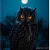 joki_ysenam