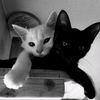 blackoreo_12