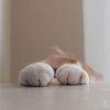 catpaw0506