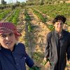 فايزابوفايز