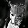 vankos.ghost