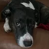 dani_15478