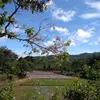 thuonganhofficcial