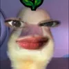 llllilyyyy_0