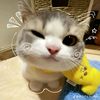 pipiww_08
