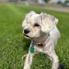 rockey639