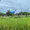 yuliansyah461