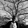 samoedoken