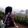 sitty594