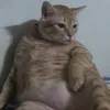 _minhthu826
