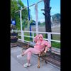 idang.novi