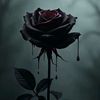 ladyinblak8