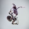 spiders..are.everywhere