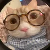 alicebanhbao