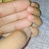 dina_msw